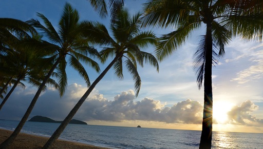 Paradise Found: Unveiling the Allure of a Beachfront Stay at Palm Cove
