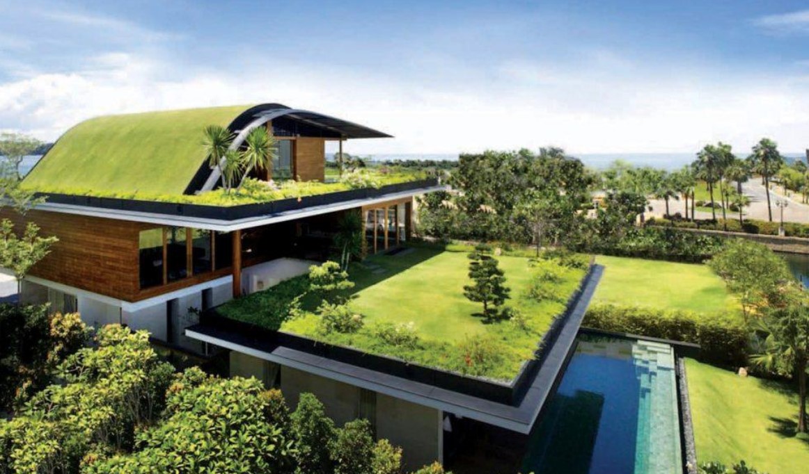 Pet-Friendly Villas in Igatpuri: Paws and Relax