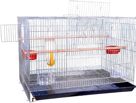 Affordable Bird Cages and Accessories with Coupons: How Is It Beneficial To Your Birds