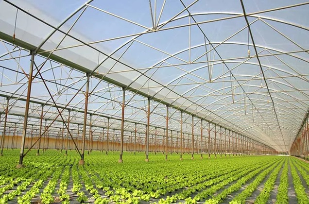 Proven Ways of Saving Electricity in Your Greenhouse