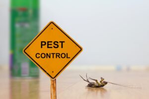 How to Choose the Right Pest Control Solution